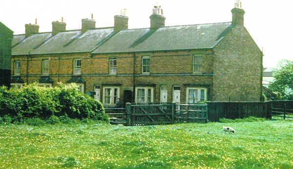 Avenue Road and field